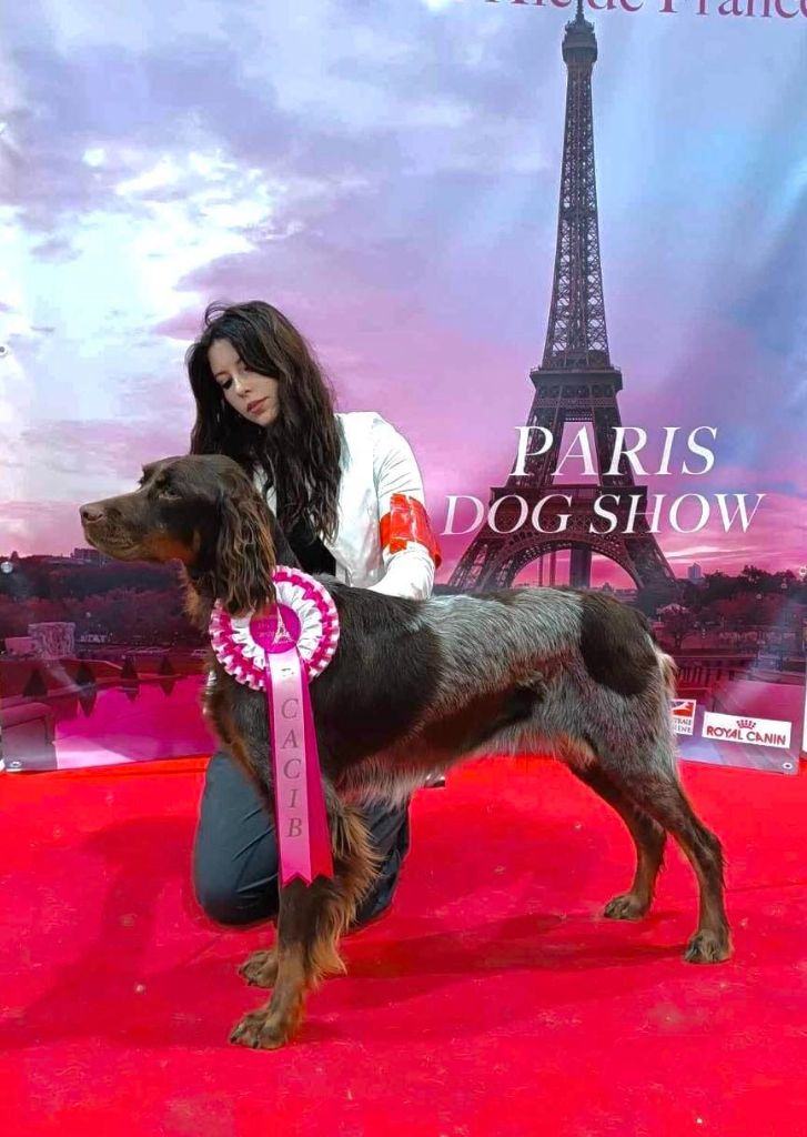 Du Domaine D'Iron - Le domaine d'Iron était présent au Paris Dog Show
